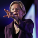 Image for article titled Warren's New Facebook Ads Make False Claims—And That's The Whole Damn Point